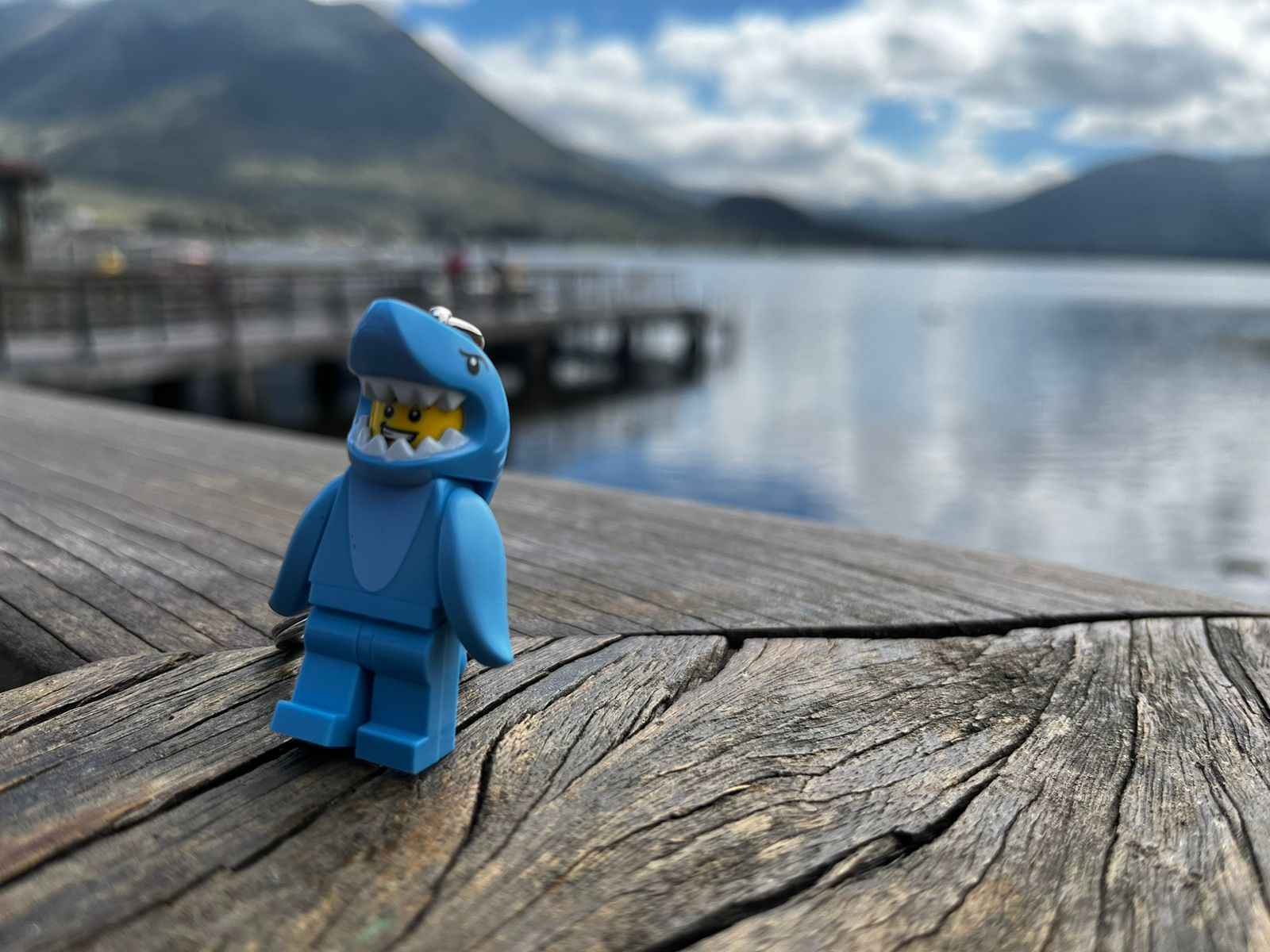 Entrenamiento Triburones